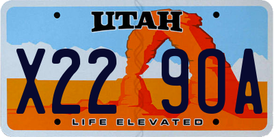 UT license plate X229OA