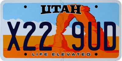 UT license plate X229UD