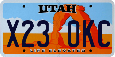 UT license plate X230KC