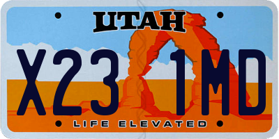 UT license plate X231MD