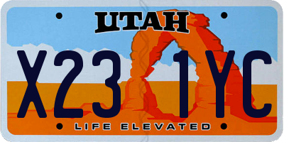 UT license plate X231YC