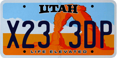 UT license plate X233DP