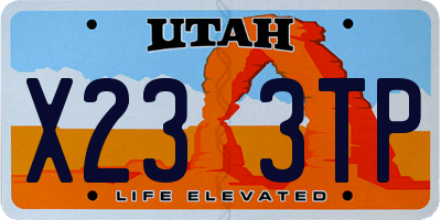 UT license plate X233TP