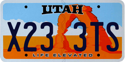 UT license plate X233TS