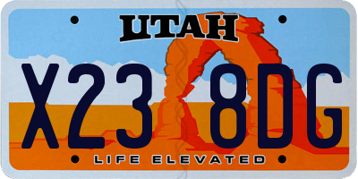 UT license plate X238DG