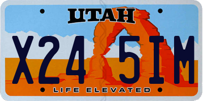 UT license plate X245IM