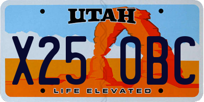 UT license plate X250BC