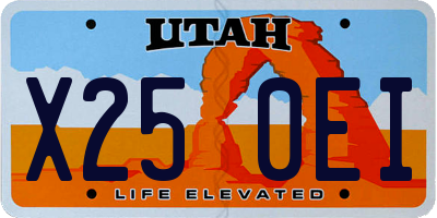 UT license plate X250EI