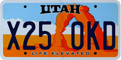 UT license plate X250KD