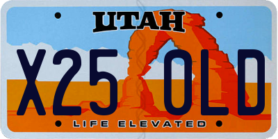 UT license plate X250LD