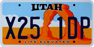 UT license plate X251DP