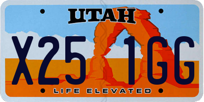 UT license plate X251GG