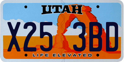 UT license plate X253BD