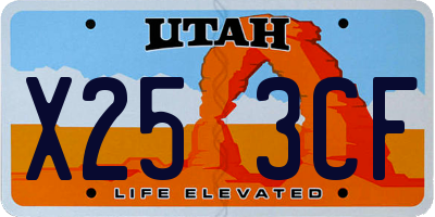 UT license plate X253CF