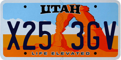 UT license plate X253GV