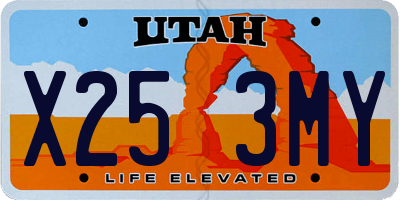 UT license plate X253MY