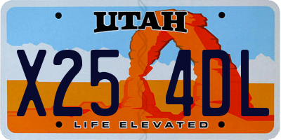 UT license plate X254DL