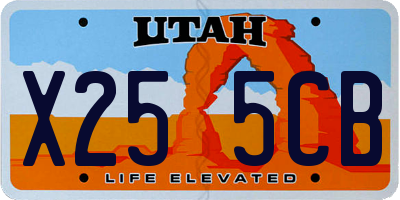 UT license plate X255CB