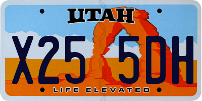 UT license plate X255DH
