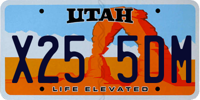UT license plate X255DM