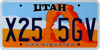 UT license plate X255GV