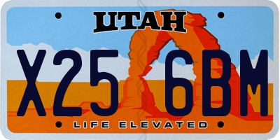 UT license plate X256BM