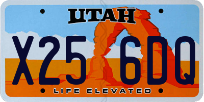 UT license plate X256DQ