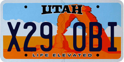 UT license plate X290BI