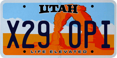 UT license plate X290PI