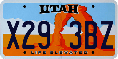 UT license plate X293BZ