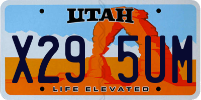 UT license plate X295UM