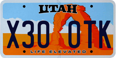 UT license plate X300TK