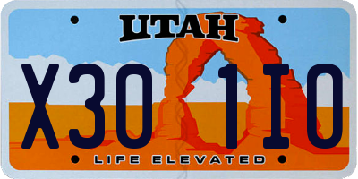 UT license plate X301IO