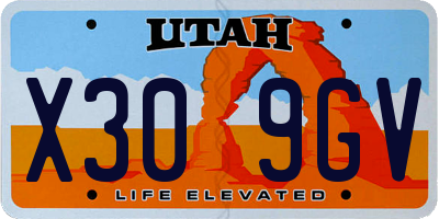 UT license plate X309GV
