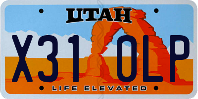 UT license plate X310LP