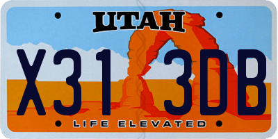 UT license plate X313DB
