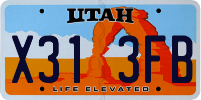 UT license plate X313FB