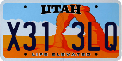 UT license plate X313LQ