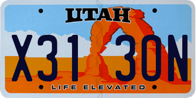 UT license plate X313ON
