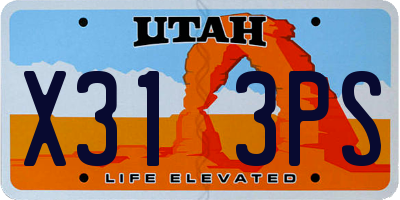 UT license plate X313PS