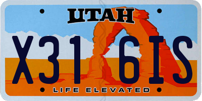 UT license plate X316IS