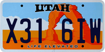 UT license plate X316IW