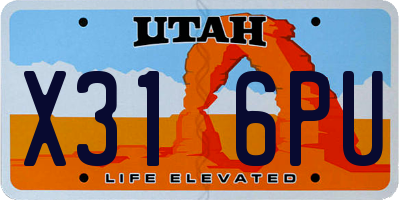 UT license plate X316PU