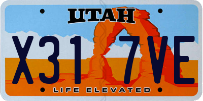 UT license plate X317VE