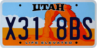 UT license plate X318BS
