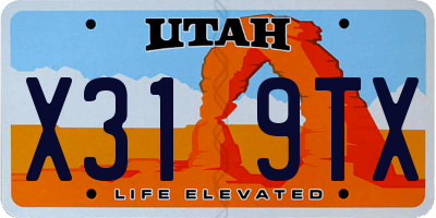 UT license plate X319TX