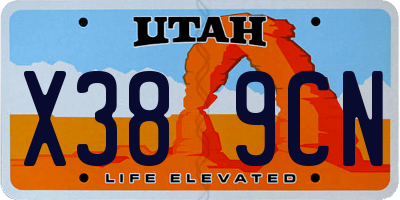 UT license plate X389CN