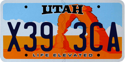 UT license plate X393CA