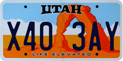 UT license plate X403AY