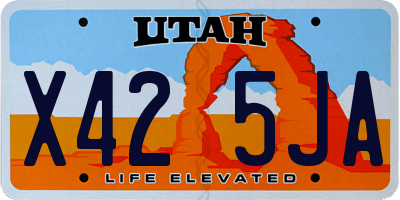 UT license plate X425JA